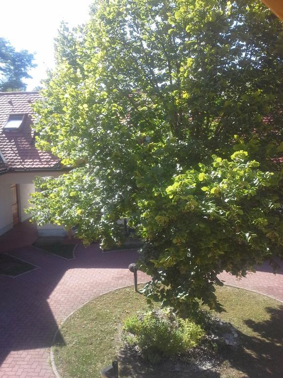 Apartment Nagelj Moravske-Toplice Eksteriør bilde